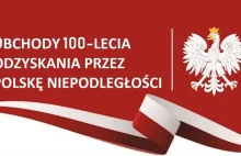 Steam szykuje polską promocję na 100-lecie odzyskania niepodległości...