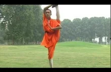 Shaolin Kong fu Stretching&Balance Skills (tong zi kong) 1: meditative...