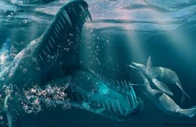 Kronozaur (Kronosaurus)