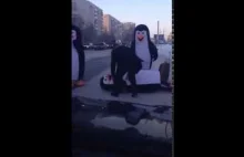 Pingwiny uciekły z zoo