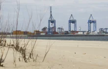Potrzebny Wykop Efekt. Port chce zabetonować 10 ha plaży w Gdańsku na Stogach!