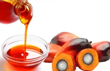 Czy olej palmowy jest szkodliwy? Diabeł tkwi w szczegółach