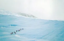 Urlop na Antarktydzie