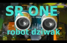 SR ONE- robot dziwak.