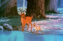 Kłusownik zabijający jelenie musi oglądać Bambi w więzieniu