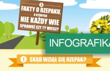 3 fakty o rzepaku, które Was zaskoczą