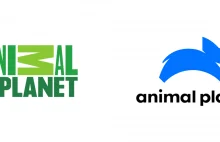 Nowe logo Animal Planet