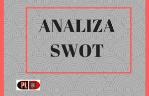 ANALIZA SWOT