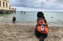 Sycylia: 13-latek z Polski uratowany przed utonięciem. Ocalił go pies
