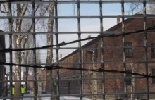 Nowe tropy ws. popiołów z krematorium obozu Birkenau