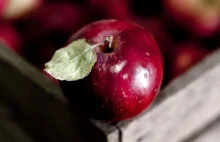 Polskie jabłka mogą trafić na indyjskie stoły