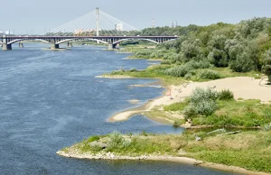 Ekolodzy będą 'ratować polskie rzeki'. Mają być dzikie, a nie jak w Niemczech
