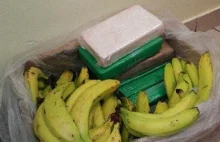 Pracownice Stokrotki w Sokołowie Podlaskim znalazły w bananach 9 kg kokainy!