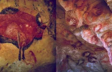 JASKINIA ALTAMIRA - Tak wyglądają najstarsze prehistoryczne malowidła naskalne!