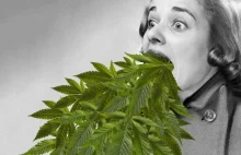 13 Mitów o Marihuanie, które nauka obaliła, ale być może o tym nie wiesz i...