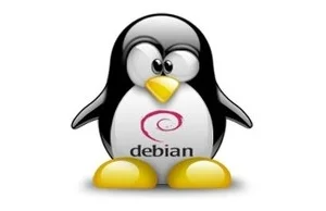 Masz Debiana? Jego stworzenie kosztowało co najmniej 60 miliardów złotych.