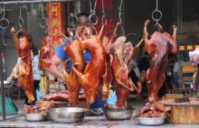 Yulin - podsumowanie tegorocznego festiwalu