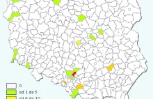 Geograficzny podział nazwisk "Las" w Polsce »