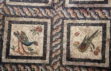 Niezwykła mozaika z początku naszej ery została odkryta w Aleksandrii przez...