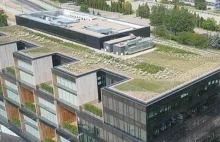 Pixel z łąką na dachu. Zasadzono tu 40 gatunków roślin
