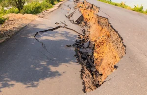 Trzęsienie ziemi w Albanii. Polscy turyści wracają do kraju.