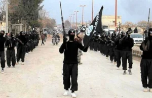 Dżihadyści wzywają 'braci we Francji' do "ścinania głów cywilom"