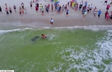"Polowanie na rekina młota atrakcją dla turystów na Florydzie"