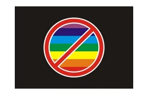 Litwa - zakaz promowania homoseksualistów w tv przed godziną 23