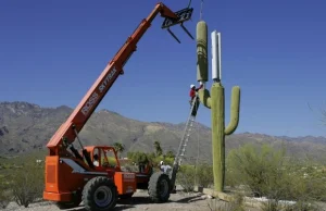 Kaktusowa wieża telekomunikacyjna
