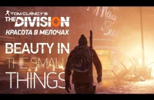 The Division: Beauty in the small things