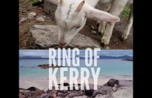 VLOG RING OF KERRY spotkanie z Dali Lama