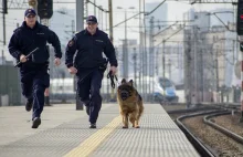 SOK-iści ujęli nielegalnego imigranta na stacji Poznań Główny