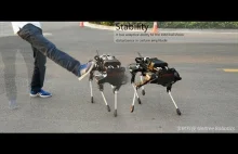 Chińska kopia robota Spot od Boston Dynamics