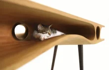 CATable - designerski stół dla człowieka, rajem dla kota - Design