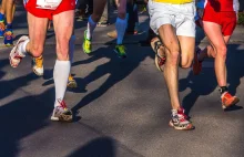 ● Maraton: co się dzieje z ciałem biegacza?