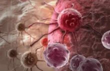 Sześć mitów na temat raka - Zdrowie