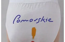 Nie będzie śledztwa w sprawie słynnego logo Pomorza. Prokuratura zbadała...