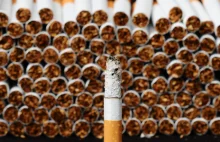 Gruzin przewoził 1,2 mln sztuk nielegalnych papierosów.