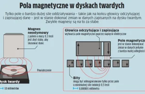 Magnes niszczy dane na HDD. Prawda czy fałsz?