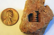 Tajemnica żelaznej śruby sprzed 300 mln lat