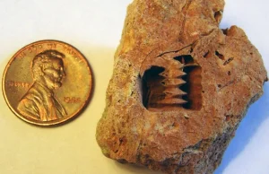 Tajemnica żelaznej śruby sprzed 300 mln lat