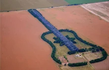 Farmer posadził las w kształcie wielkiej gitary dla zmarłej żony- tak się kocha.