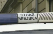 Jaka jest ta Straż Miejska