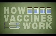 Jak działają szczepionki ?
