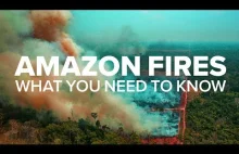 O co chodzi z pożarami w Amazonii