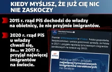 Kiedy myślisz, że już cię nic nie zaskoczy ... PiS chwali się imigrantami!