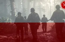 POLSKIE jednostki w nowym Call Of Duty WWII?