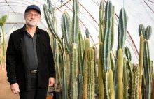 Kolekcjoner kaktusów szuka domu dla swojego zbioru