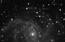Supernowa w galaktyce NGC 6946.
