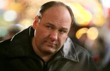 AMA - Tony Soprano, acting boss & waste management CEO